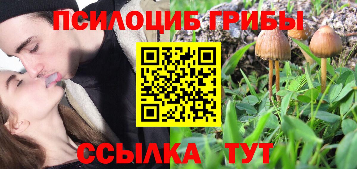 Галлюциногенные грибы Cubensis Солнечногорск