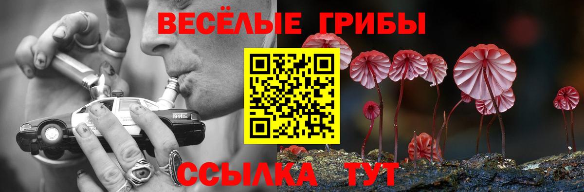 Галлюциногенные грибы ЛСД  как найти   Вход с VPN  Солнечногорск  Галлюциногенные грибы мухоморы 