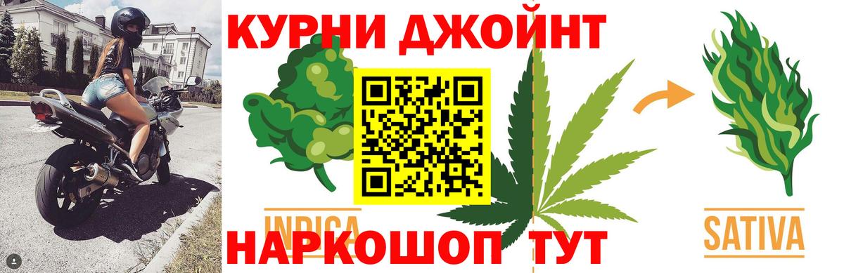 Бошки Шишки планчик  Канабис план  Марихуана ГИДРОПОН  Вход с VPN  Конопля Bruce Banner  Солнечногорск 